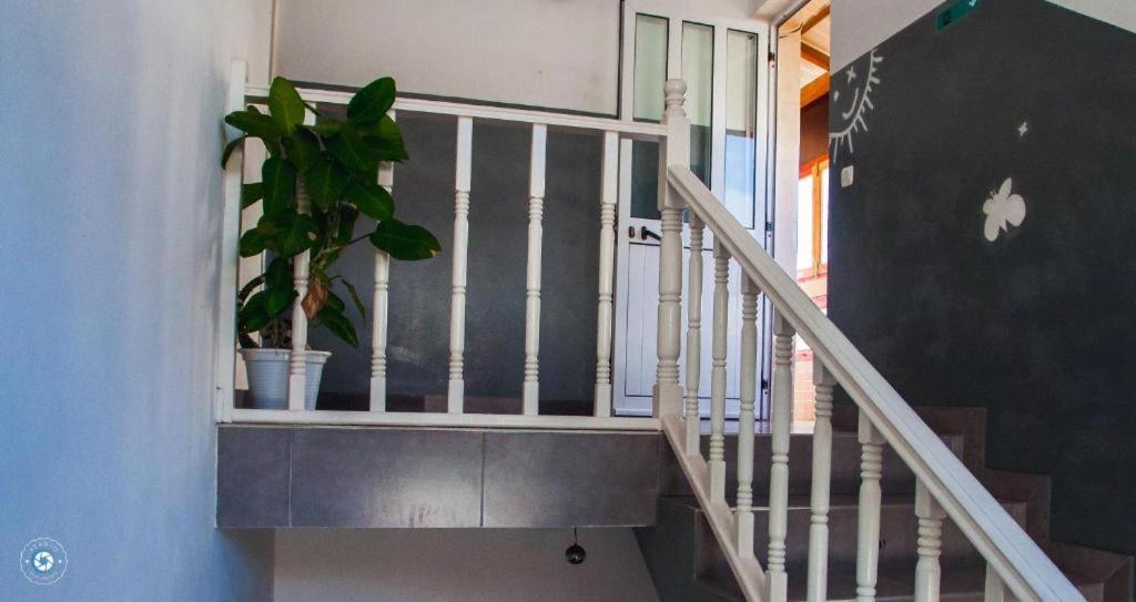 Bed and Breakfast Kolina D'Sol Ponta Do Sol Esterno foto